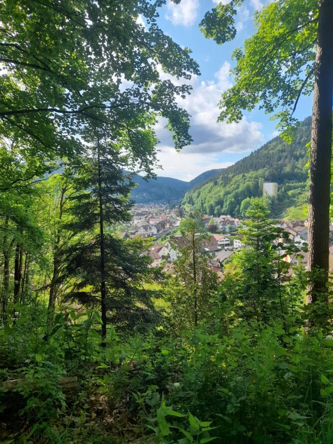 Ferienwohnung Am Enzufer Mit Balkon In Bad Wildbad Im Schwarzwald Екстер'єр фото